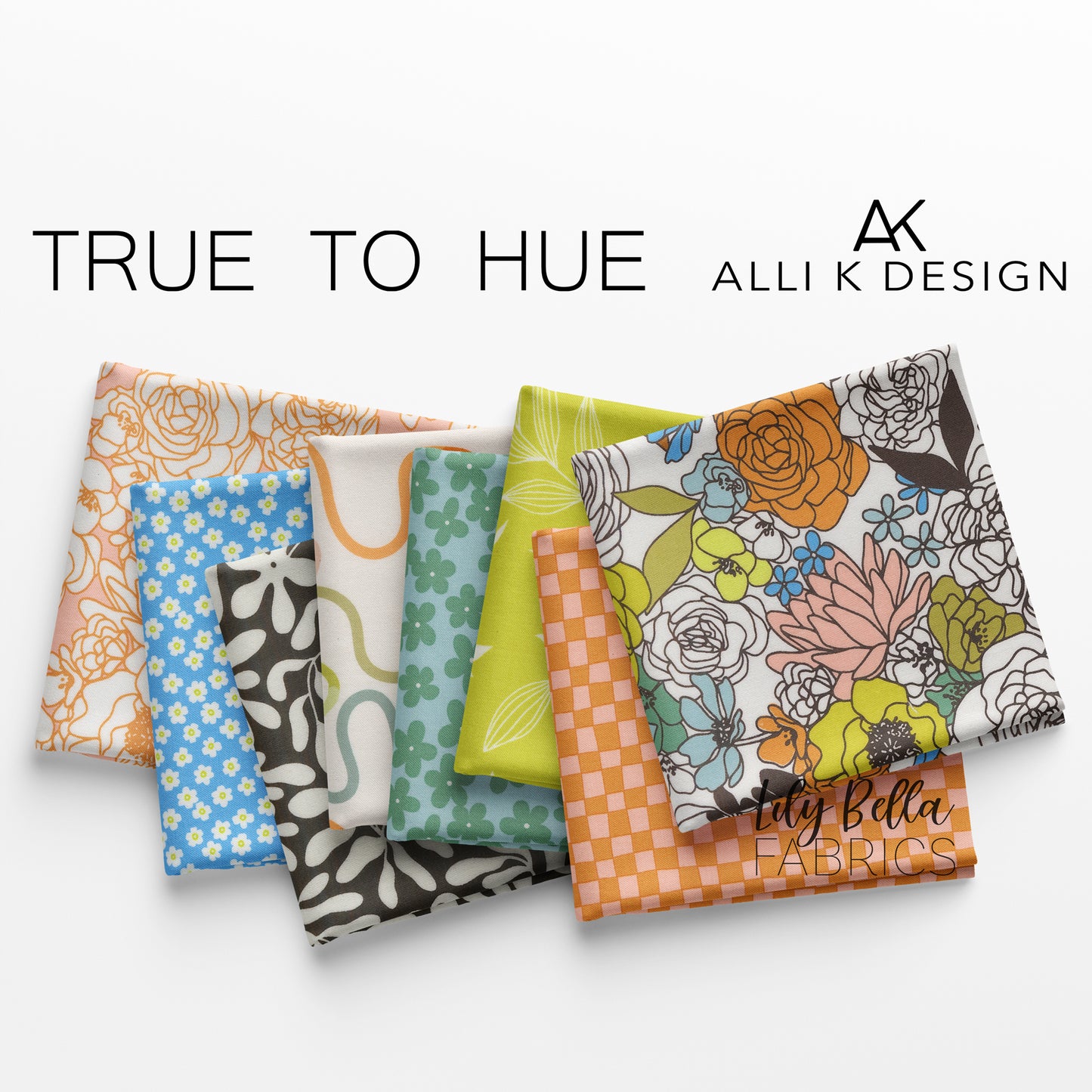 True to Hue Jelly Roll (40 pcs) by Alli K Design for Moda