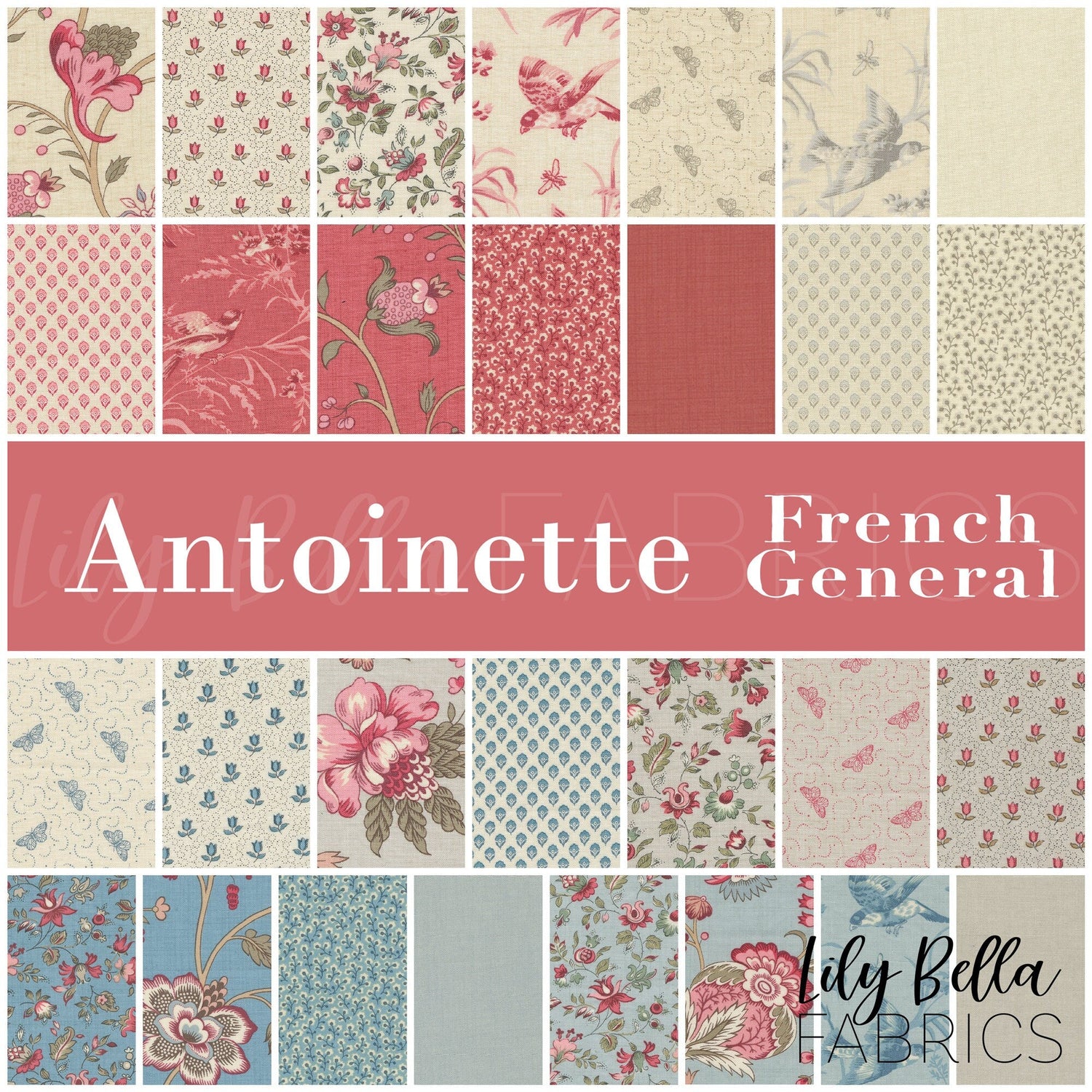 Antoinette by French General