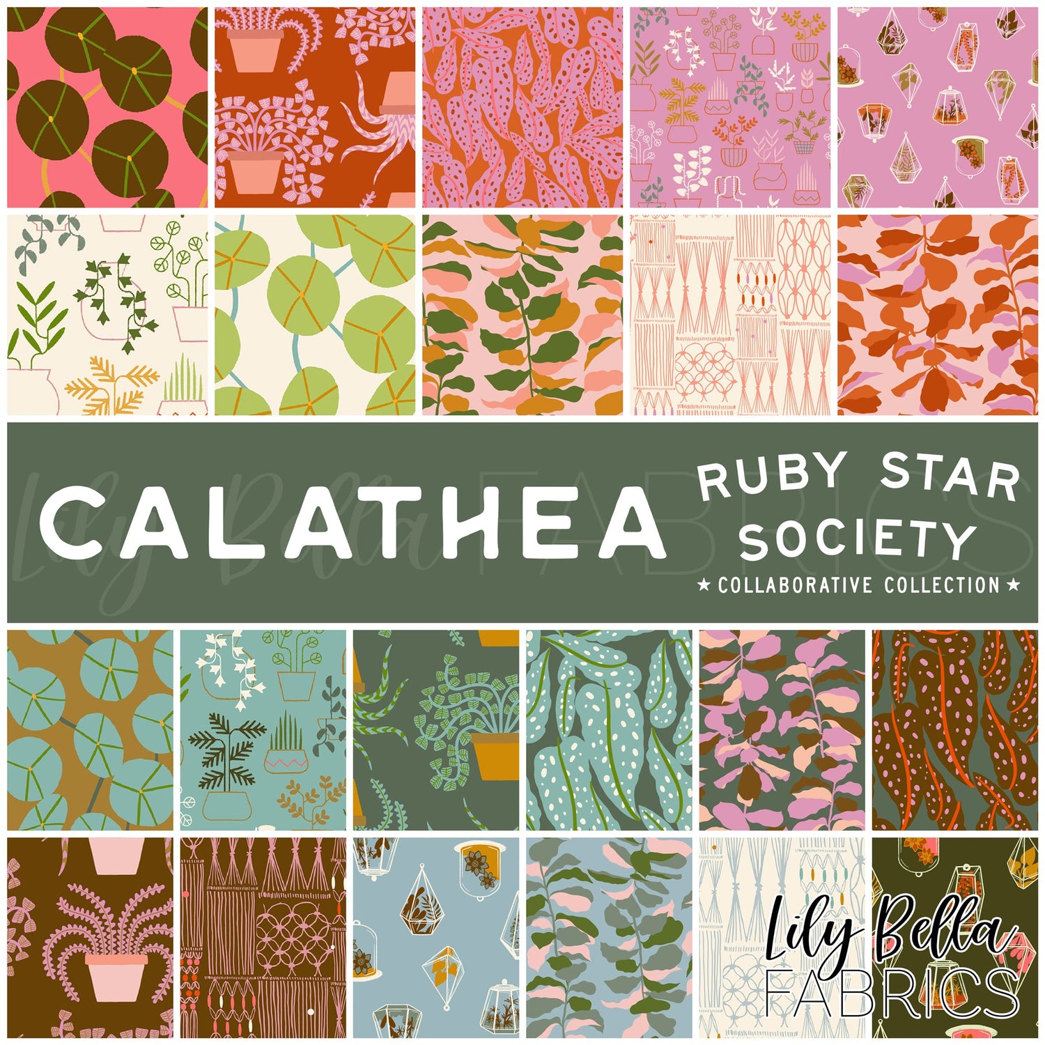 Calathea by Ruby Star Society Collaborative