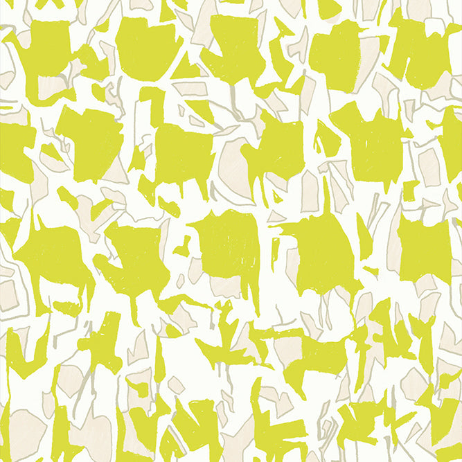 Designer Fabric by Carolyn Friedlander for Ruby Star Society at Lily Bella Fabrics