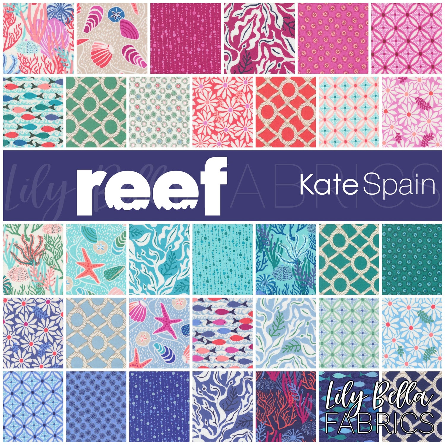 Reef by Kate Spain
