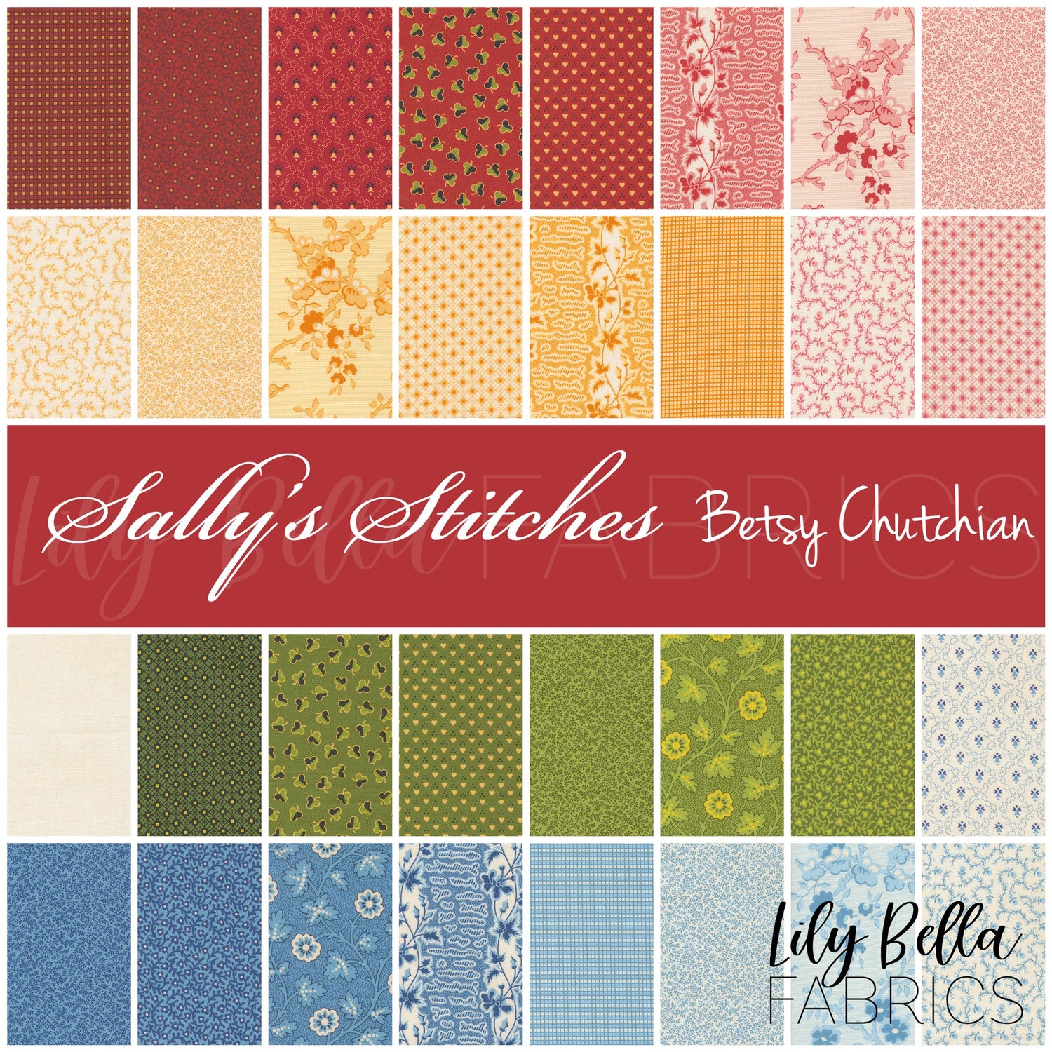 Sally's Stitches by Betsy Chutchian