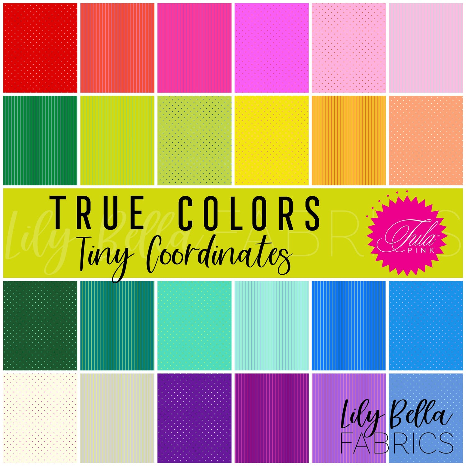 True Colors - Tiny Coordinates by Tula Pink