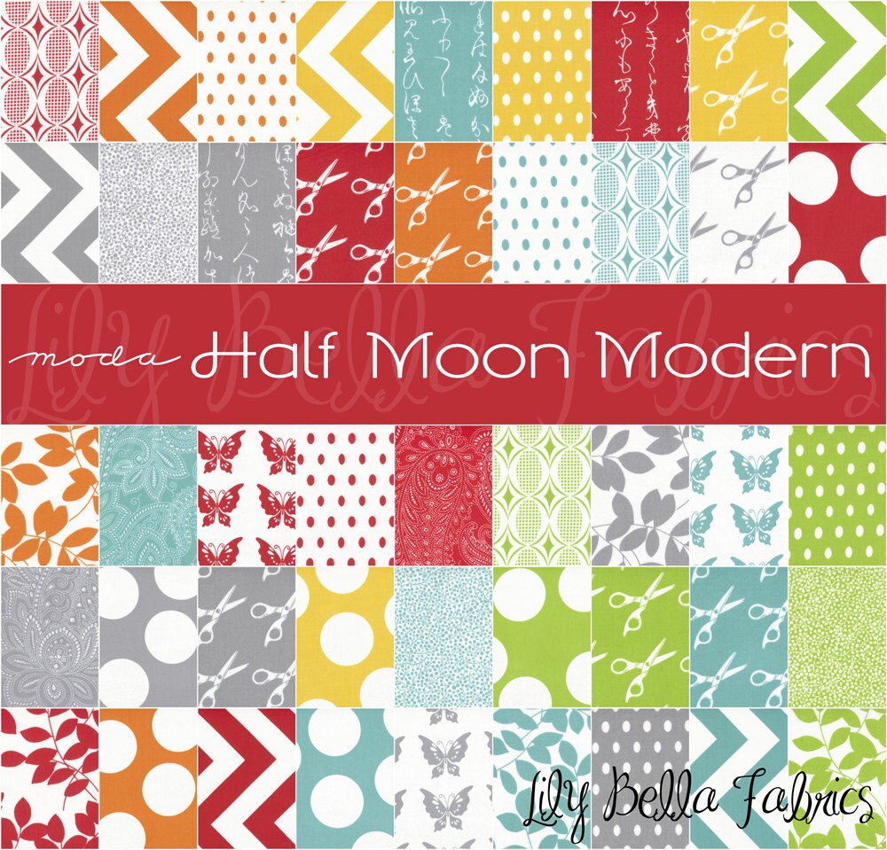 Zig Zag in Ruby - 1/2 Yard - Half Moon Modern by Moda House Designer for Moda