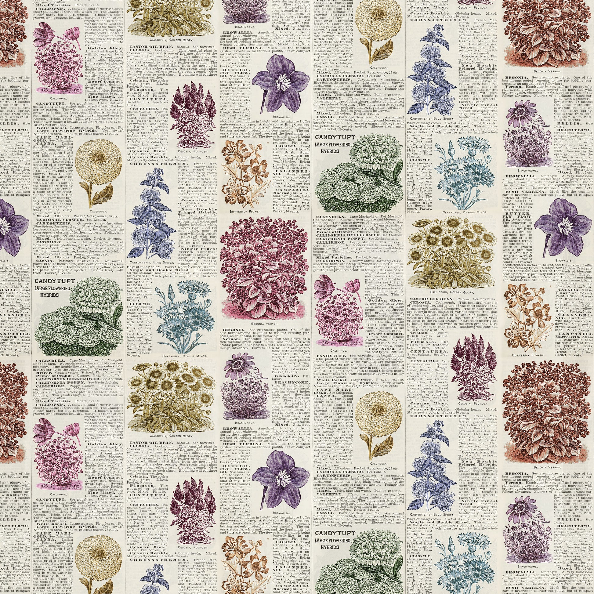 Botany in Multi - 1/2 yard - Eclectic Elements Palette: Multi by Tim Holtz for FreeSpirit Fabrics (PWTH327.MULTI)