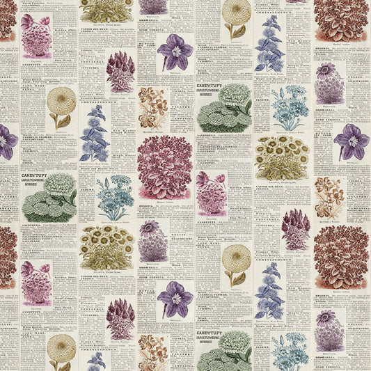 Botany in Multi - 1/2 yard - Eclectic Elements Palette: Multi by Tim Holtz for FreeSpirit Fabrics (PWTH327.MULTI)