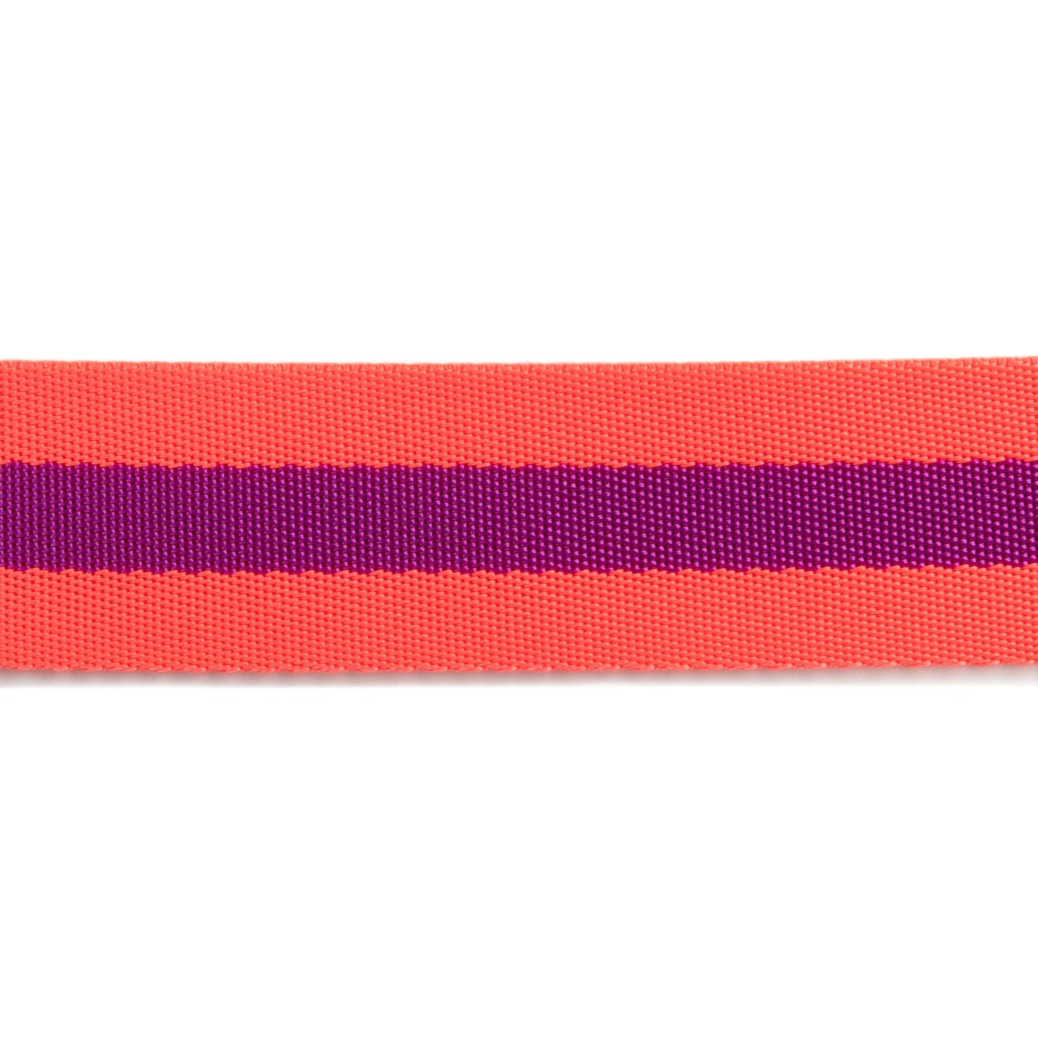 Watermelon Plum Nylon Webbing by Tula Pink for Renaissance Ribbons (TK9038 01 2YD)