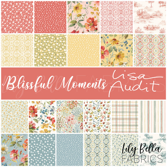 Blissful Moments Fabric Collection by Lisa Audit for Riley Blake Designs at Lily Bella Fabrics