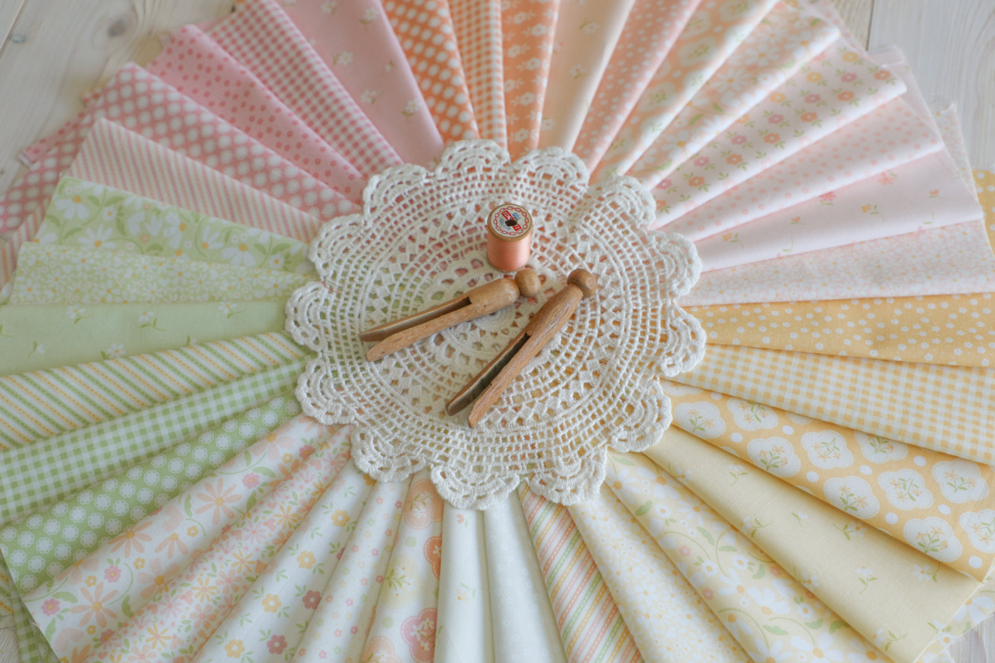 Dear Daisy Fabric Collection by My Sew Quilty Life for Moda at Lily Bella Fabrics