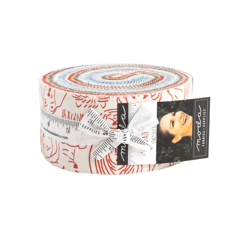 Dog Daze Jelly Roll (40 pieces) by Stacy Iest Hsu for Moda (20840JR)