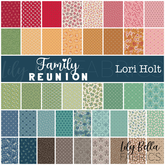 Family Reunion Fabric Collection by Lori Holt for Riley Blake Designs at Lily Bella Fabrics