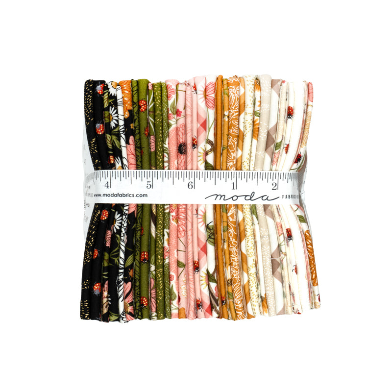 Ladybug Whimsy Fat Quarter Bundle (29 pieces) by Gingiber for Moda (48440AB)