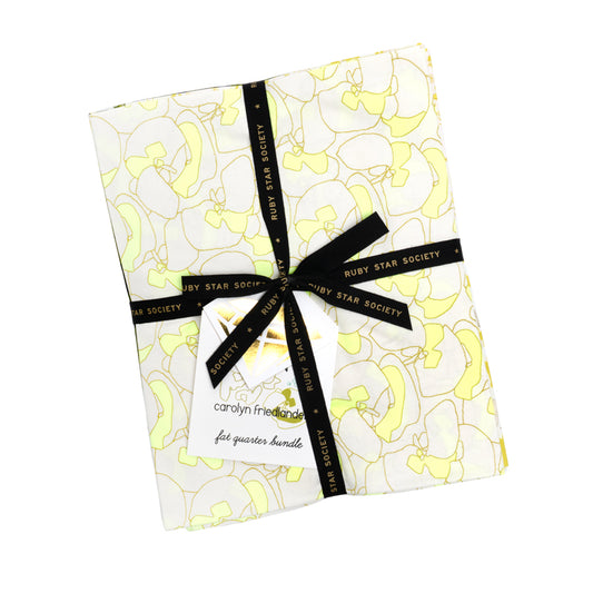 Memento Fat Quarter Bundle (28 pieces) by Carolyn Friedlander for Ruby Star Society (RS8000FQ)