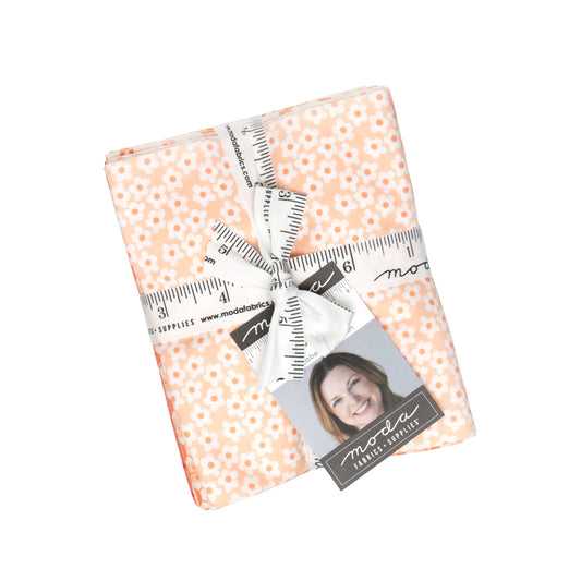 Popcorn Fat Quarter Bundle (25 pieces) by Elizabeth Hartman for Moda (51280AB)
