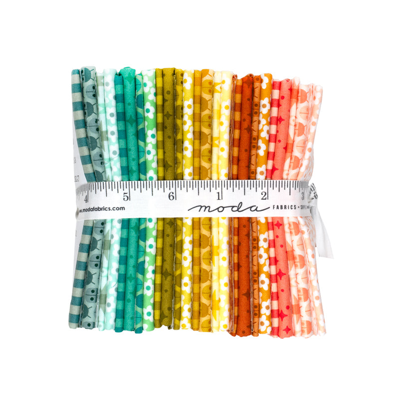 Popcorn Fat Quarter Bundle (25 pieces) by Elizabeth Hartman for Moda (51280AB)