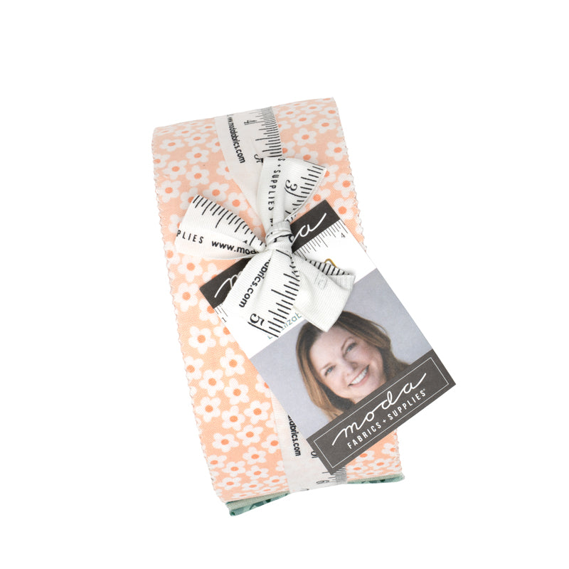 Popcorn Jelly Roll (40 pieces) by Elizabeth Hartman for Moda (51280JR)