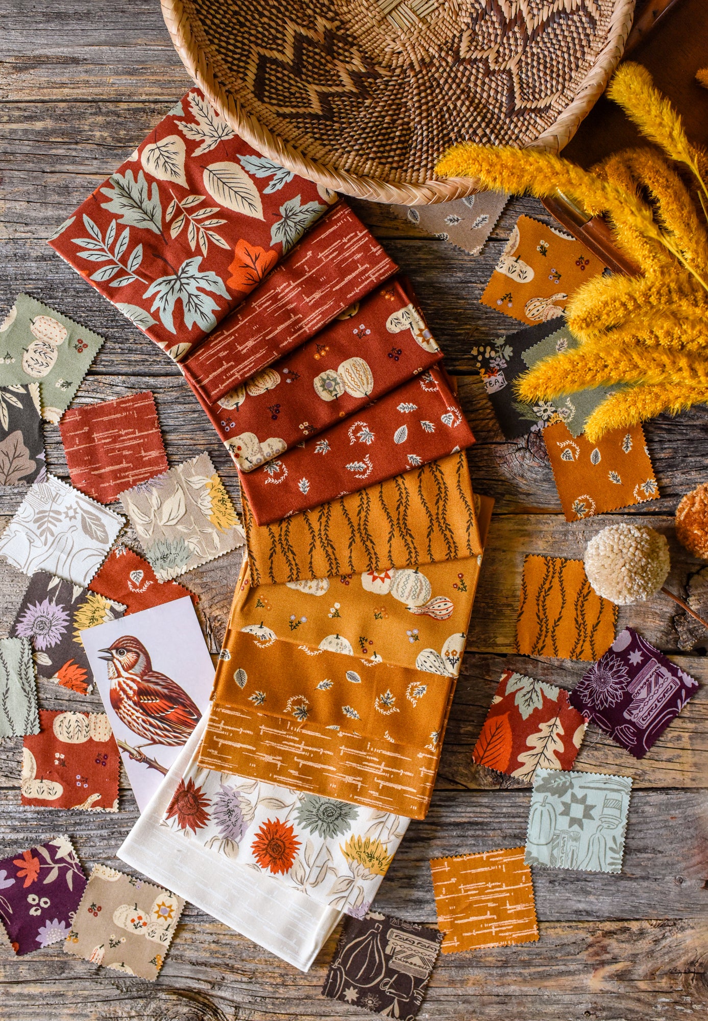 Windfall Fabric Collection by Fancy That Design House and Co. for Moda at Lily Bella Fabrics